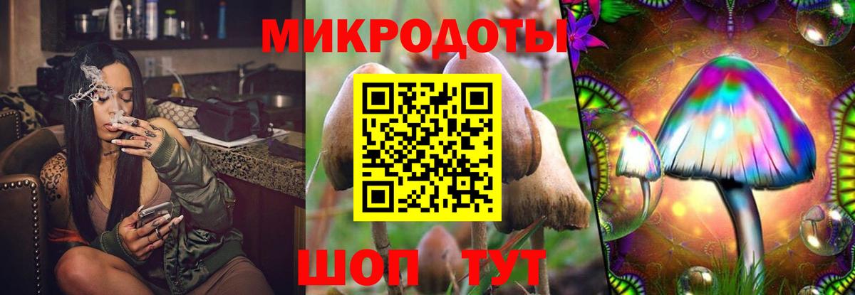 Галлюциногенные грибы GOLDEN TEACHER  Галлюциногенные грибы мицелий  Вход с VPN  Бутурлиновка 